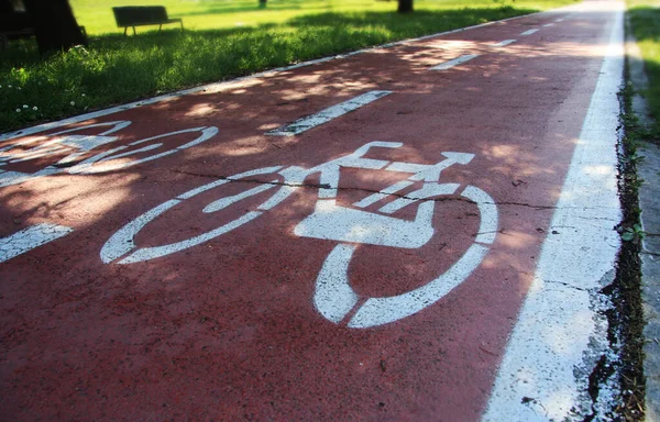 Bike lane with cycle route symbol on the floor. Red path between the garden.