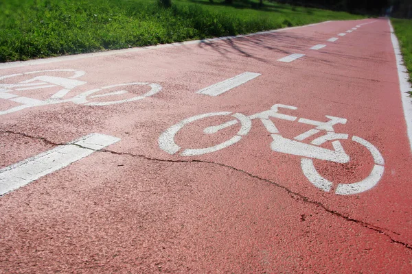 Bike lane with cycle route symbol on the floor. Red path between the garden.