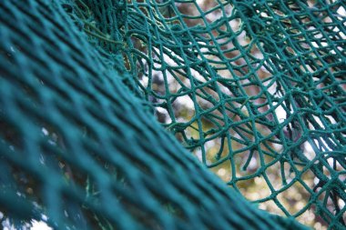 Turkuaz kargo halatının ayrıntıları ormandaki bir macera tırmanma kursunun parçası olarak ağaçların arasına uzanıyordu..