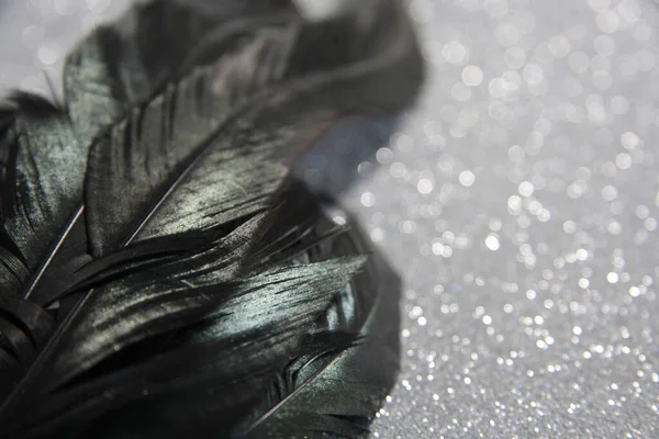 Iridescent black feathers on silver glitter background