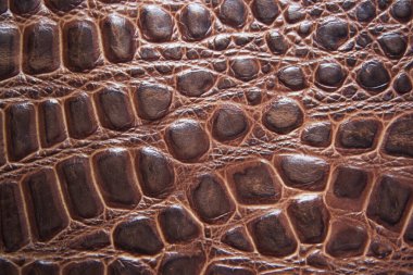 Timsah derisi. Deri üzerinde gerçekçi bir iz, koyu kırmızı kumaş..