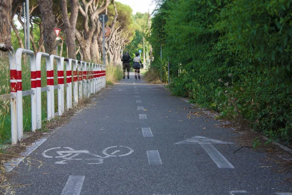 Pattinaggio Rotelle Sulla Pista Ciclabile Campagna Segnale Pista Ciclabile Sulla — Foto Stock