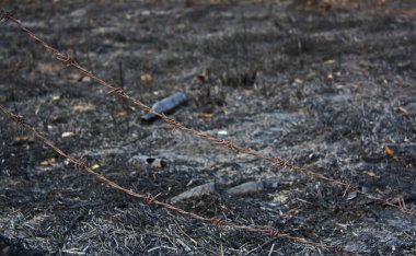 Sahada yanan bir şişe..