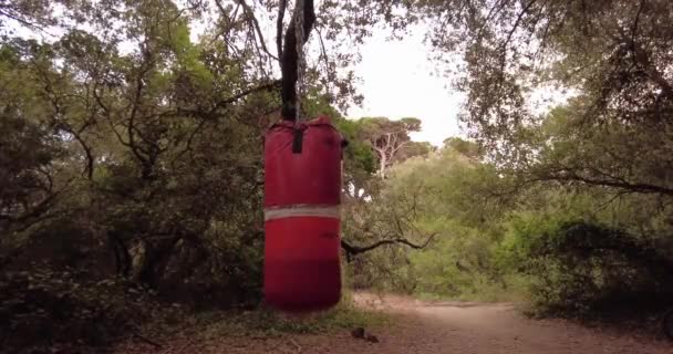 在森林里锻炼的红色冲压袋 — 图库视频影像