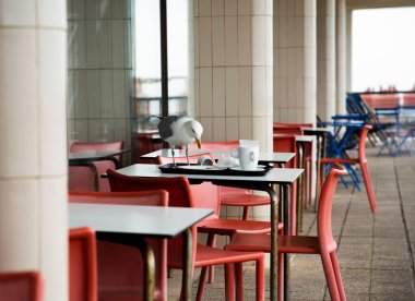 Martı lokantadaki açık hava masalarında