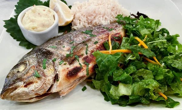 Fischgericht Mit Kräutersalat Und Soße — Stockfoto