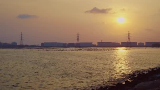 Tayland Fabrika Bölgesi Nin Doğusundaki Rafineri Sanayi Tesisinin Petrol Kimyasal Video Klip