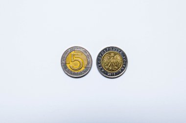 Lehçe para paralar Avrupa para