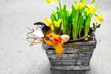 Paskalya kızlar arka plan