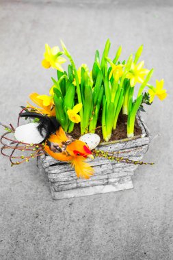 Paskalya kızlar arka plan