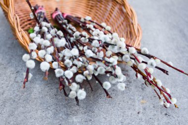 Söğüt dalları bir sepet içinde