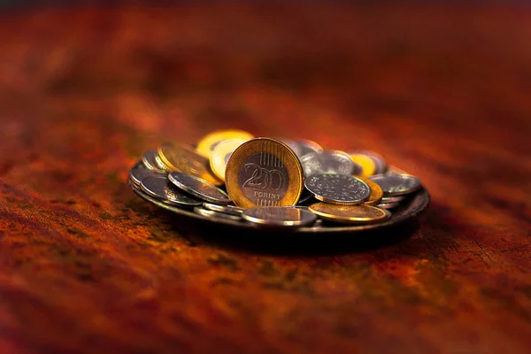 Un fiorino. Ezer Forint. penny, una sciocchezza, monete su uno sfondo scuro . — Foto Stock