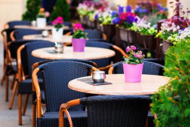 yaz teras kafe. çiçekler, yaz arka plan