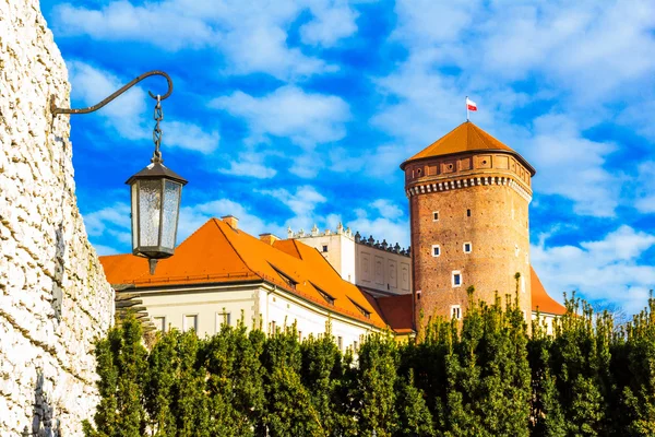 Wawel Cathedral in Krakau, Polen. Stockfoto