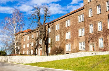 Polonya, Krakow 'daki Wawel Katedrali.