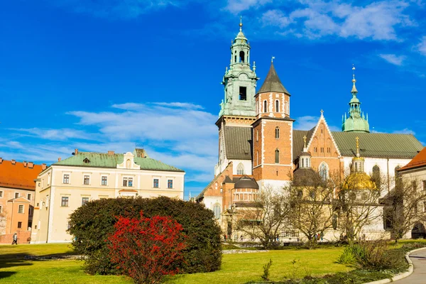 Вавельський собор у Кракові (Польща).. Ліцензійні Стокові Фото
