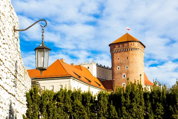 Вавельський собор у Кракові (Польща).. Стокове Фото