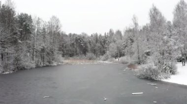 Hava aracı donmuş göletin üzerinde alçaktan uçuyor. Arka planda karla kaplı ağaçlar. 4K çözünürlük. Kış manzarası