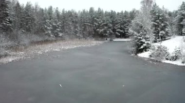 Hava aracı donmuş göletin üzerinde alçaktan uçuyor. Arka planda karla kaplı ağaçlar. 4K çözünürlük. Kış manzarası