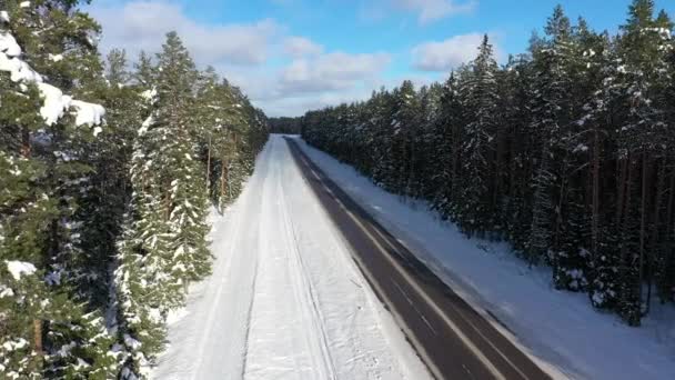 雪の森の間の小さな田舎道の空中風景 — ストック動画