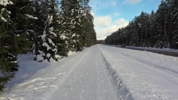 森の近くの雪の歩道の空中ビュー — ストック動画