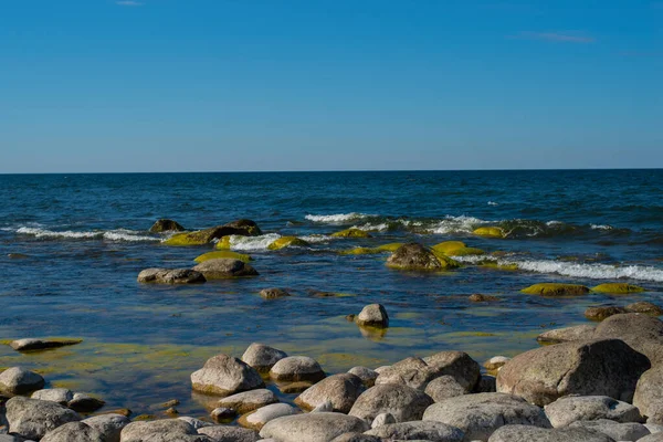 Juminda角的顶部 海岸上的圆形花岗岩卵石和海藻条 平静的蓝色海水 芬兰湾北岸 — 图库照片
