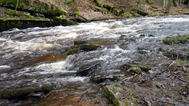 Schneller Wasserfluss Felsigem Fluss Fluss Fließt Über Steine — Stockvideo
