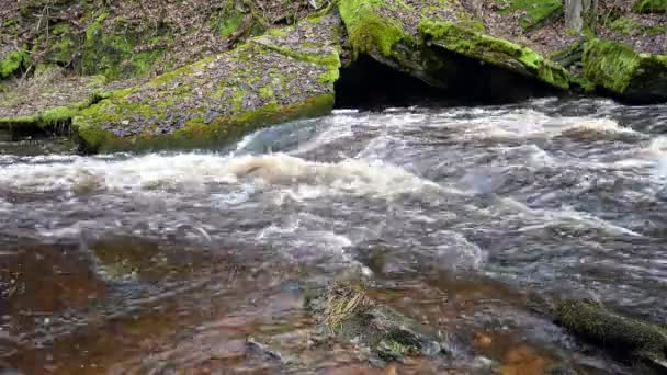 Acqua Scorre Veloce Nel Fiume Roccioso Fiume Che Scorre Sulle — Video Stock