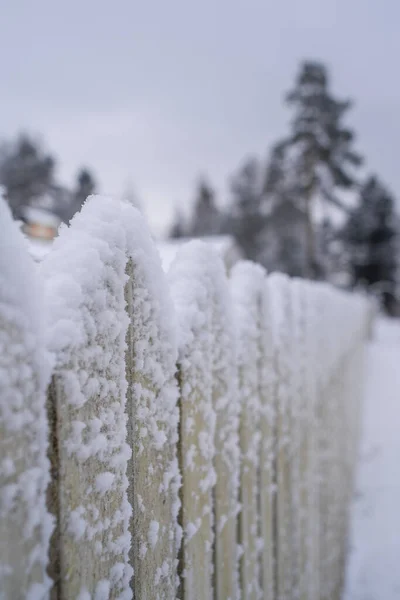Snö Ett Trästaket Efter Snöfall — Stockfoto