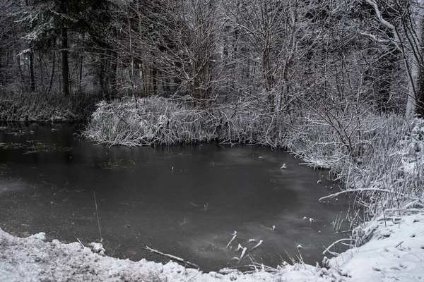 Pequeño Estanque Congelado Paisaje Invierno — Foto de Stock