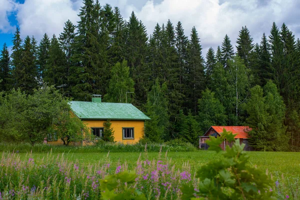 Piękny Mały Drewniany Dom Lesie Matku Finlandia — Zdjęcie stockowe