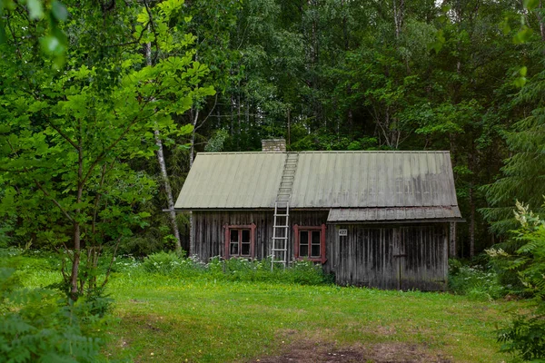 Casa Madeira Pequena Velha Floresta Matku Finlândia — Fotografia de Stock