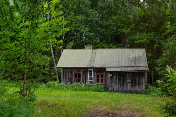 Antigua Casita Madera Bosque Matku Finlandia — Foto de Stock