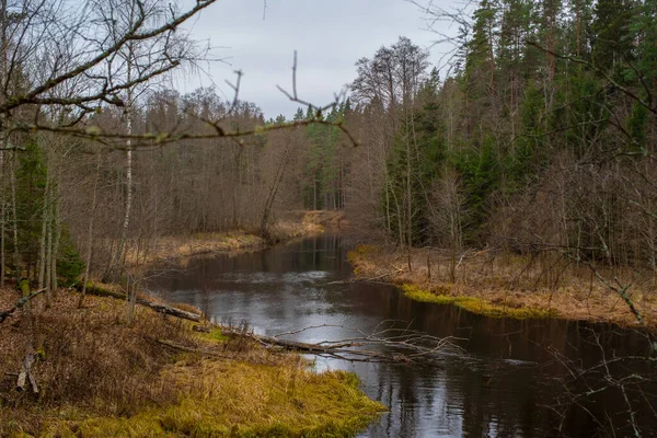 Herfstlandschap Rivier Valgejogi Lahemaa National Park Nommeveski Estland — Stockfoto