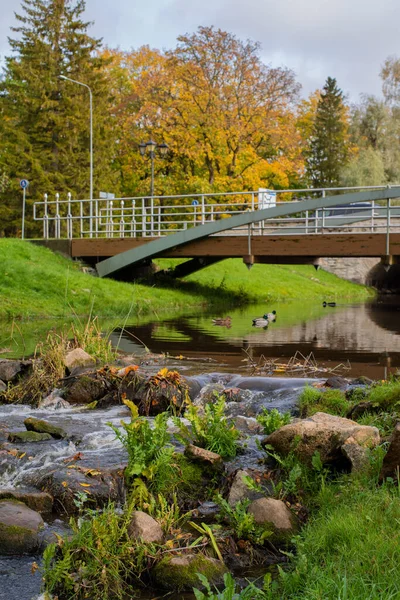 Beautiful View Rapla City Park Arched Footbridge Small River Background — Stockfoto