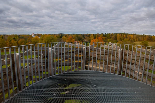 Het Middelste Platform Van Uitkijktoren Nesting Tree Estse Pesapuu Rouge — Stockfoto