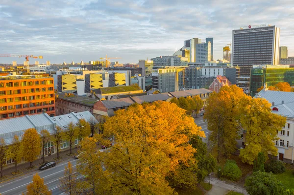 Güneşli bir sonbahar akşamında Tallinn şehir merkezinin hava manzarası. Estonya.
