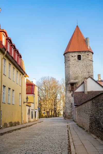 Stara Kamienna Średniowieczna Ulica Zabytkowej Części Miasta Tallin Średniowieczna Wieża — Zdjęcie stockowe