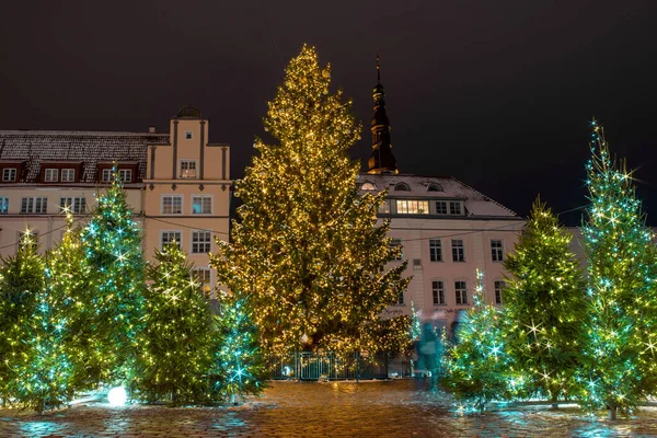 Vista Nocturna Árboles Navidad Decorados Iluminados Plaza Del Ayuntamiento Las —  Fotos de Stock