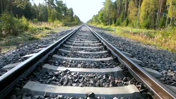 Caminando Sobre Viejo Ferrocarril Acero Oxidado Paisaje Primaveral Con Bosque — Vídeo de stock
