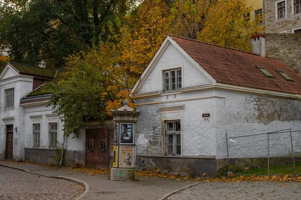 Medieval Houses Uus Street Old Town Tallinn Cloudy Autumn Day — Stock Photo, Image