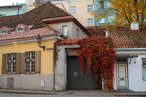Musée Galerie Old Smithy Situé Dans Vieille Ville Médiévale Tallinn — Photo