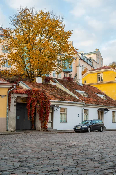 Musée Galerie Old Smithy Situé Dans Vieille Ville Médiévale Tallinn — Photo