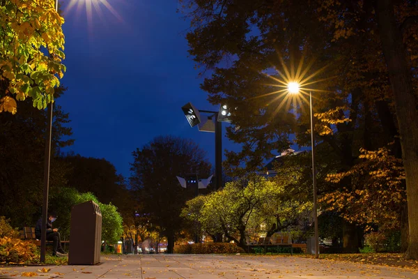 Парк Таммсааре Центре Таллинна Популярное Место Местных Жителей Туристов Ночной — стоковое фото