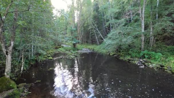 Nehirli Güzel Rahatlatıcı Bir Orman Nehir Sonbahar Bulutlu Gününde Akıyor — Stok video