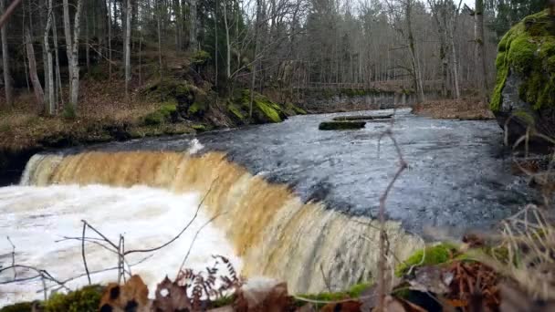 Schöner Kleiner Wasserfall Auf Einem Ländlichen Fluss Einem Bewölkten Tag — Stockvideo