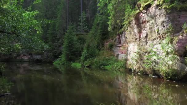 Schöne Und Malerische Naturlandschaft Mit Fluss Wald Sandsteinklippen Süden Estlands — Stockvideo