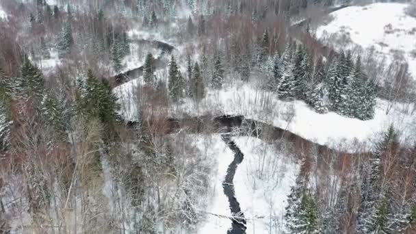 Widok Lotu Ptaka Zamarzniętego Lasu Pokrytymi Śniegiem Drzewami Zimą — Wideo stockowe