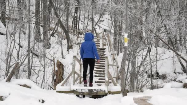 Jovens Mulheres Subindo Escadas Madeira Uma Floresta Nevada — Vídeo de Stock