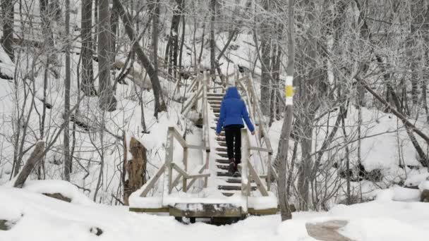 Mujeres Jóvenes Subiendo Las Escaleras Madera Bosque Nevado — Vídeos de Stock